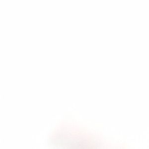 Meet your Posher, Teresa